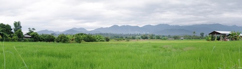 Pai, Thailand, ricefileds panorama photo